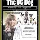 The OC Dog Fall 2008