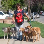 poochsitter